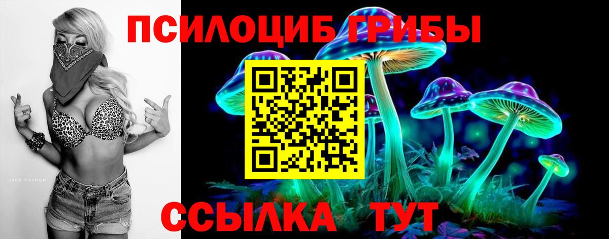 Галлюциногенные грибы Magic Shrooms Фролово